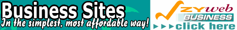 ZyWeb For Business Banner  2